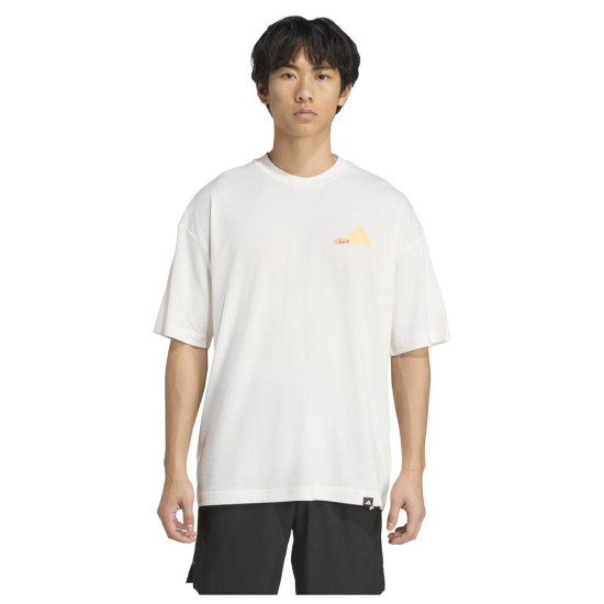 Adidas Ανδρική κοντομάνικη μπλούζα Power Graphic Tee